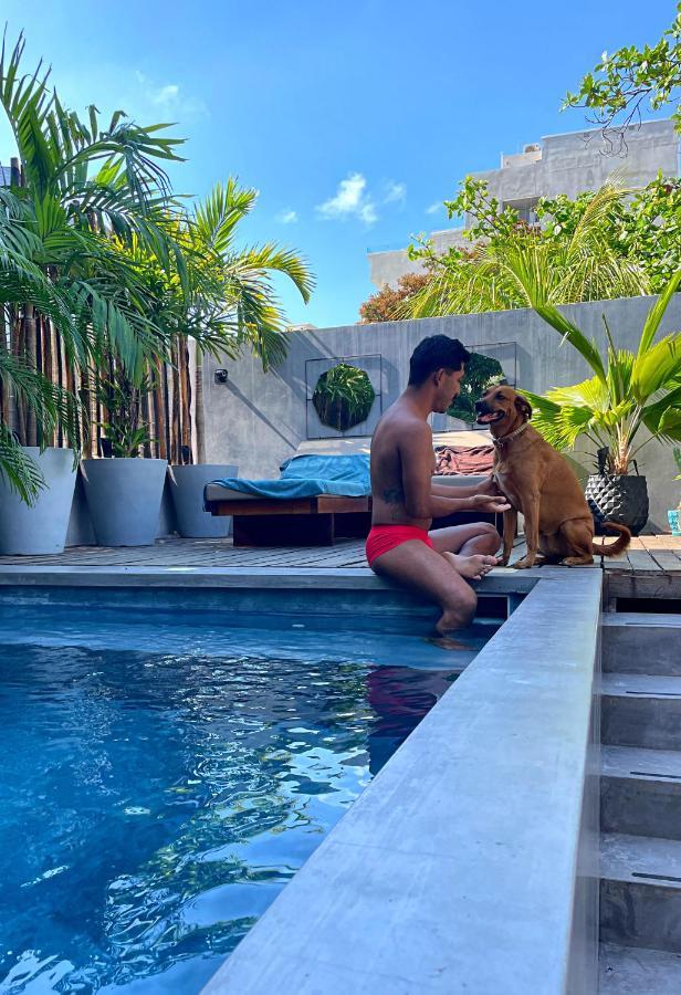 Lote4 - Lgbtq Studios Playa del Carmen Zewnętrze zdjęcie