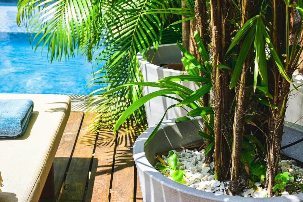 Lote4 - Lgbtq Studios Playa del Carmen Zewnętrze zdjęcie